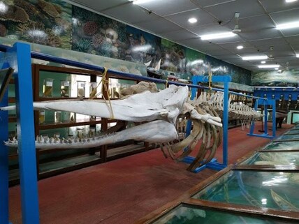 Marine Museum